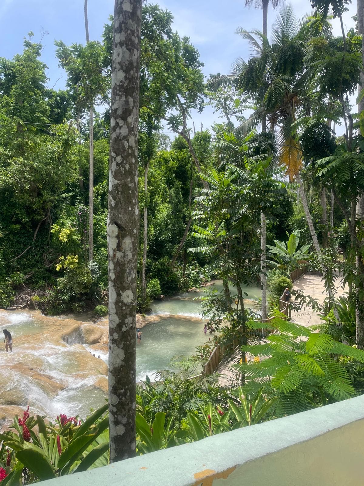 Dunn's River Falls